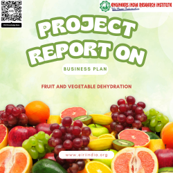 Detailed Project Report on freeze drying plant