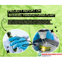 Biodiesel Manufacturing Plant (Cap: 10,000 Ltr./Day)