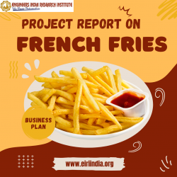 French Fries Manufacturing Plant (Cap: 120 MT/Day)