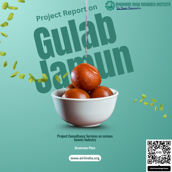 Detailed Project Report on gulabjamun manufacturing project