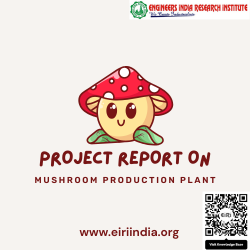 Detailed Project Report on mushroom production plant