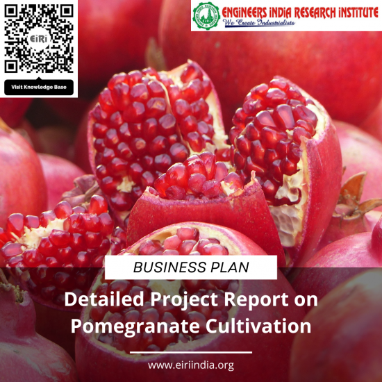 Detailed Project Report on Pomegranate Cultivation in 100 acres Detailed Project Report on Pomegranate Cultivation in 100 acres