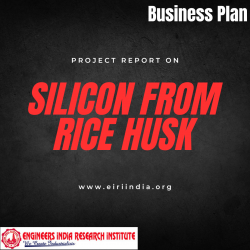 Silicon from Rice Husk (Production Rate – 30 TPD) 