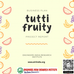Detailed Project Report on tuity fruity from papaya fruit