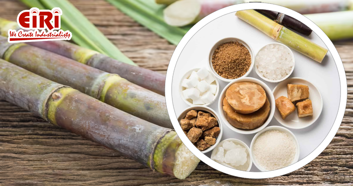 The Complete Landscape of Sugarcane Processing, By-Products, and Emerging Opportunities for India’s Evolving Industry The Complete Landscape of Sugarcane Processing, By-Products, and Emerging Opportunities for India’s Evolving Industry