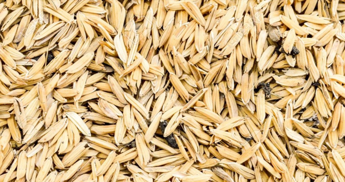 Rice Husk and Rice Ash - Agricultural Waste ByProducts Rice Husk and Rice Ash - Agricultural Waste ByProducts