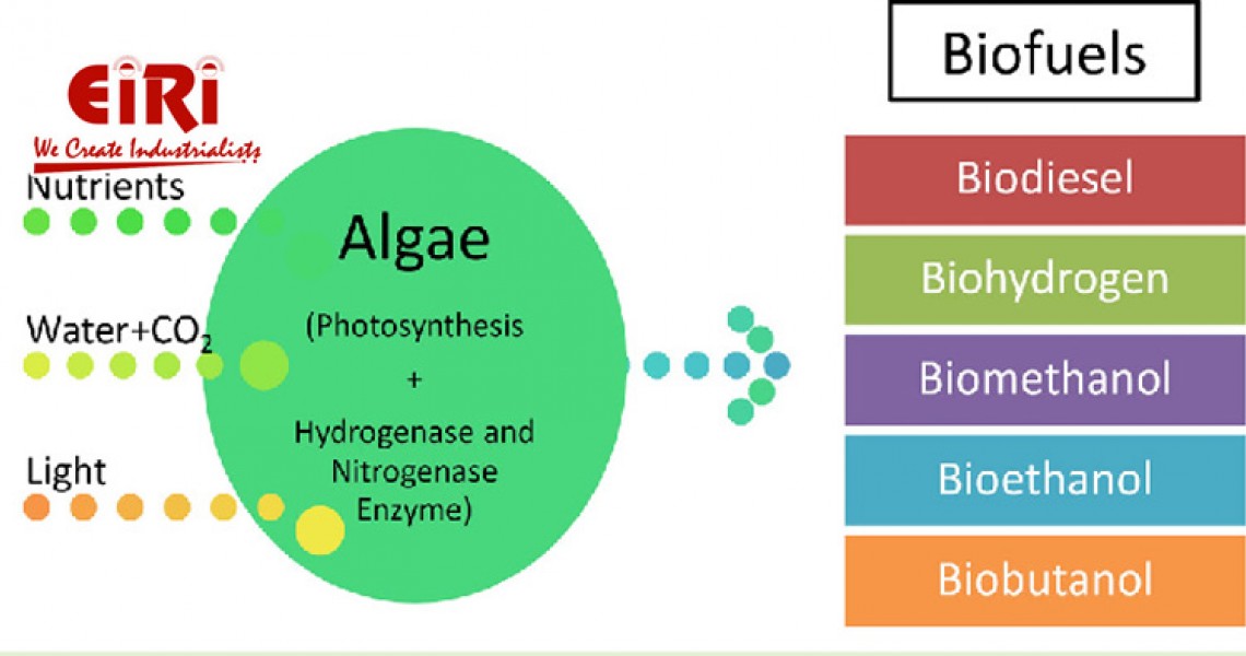 Biofuel from Algae: The Journey to Sustainable Biofuel Biofuel from Algae: The Journey to Sustainable Biofuel