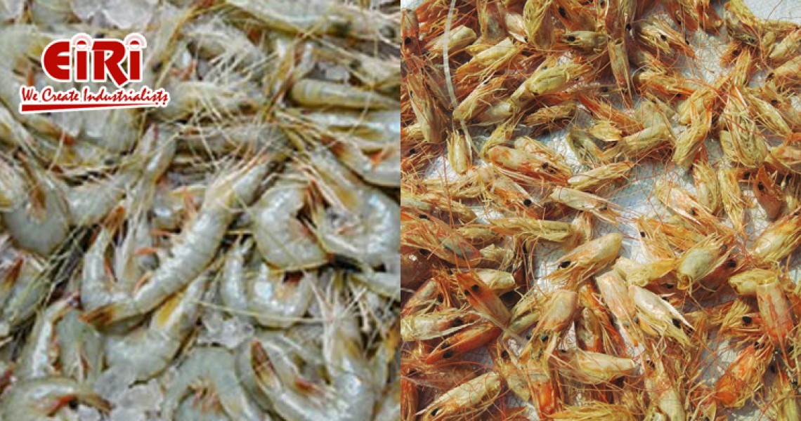 Chitin & Chitosan from Prawn Shell Waste: A Sustainable Innovation Chitin & Chitosan from Prawn Shell Waste: A Sustainable Innovation
