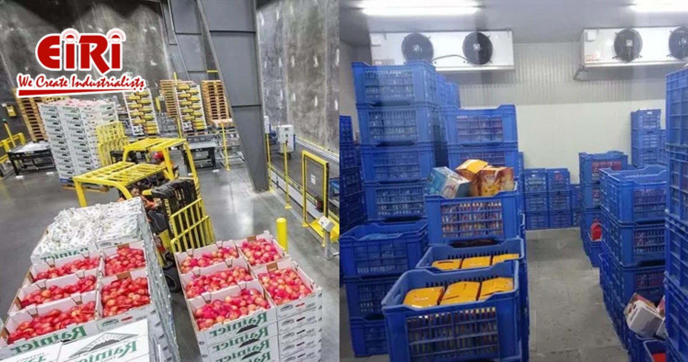 Cold Storage Business Refrigerated Truck Market Market Overview and