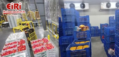 Cold Storage Business: Market Overview and Future Growth Forecast