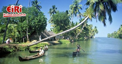 Ecotourism and Adventure Activities: Building a Thriving Coastal Business