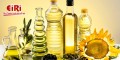 Edible Oil Manufacturing Business : A Comprehensive Guide