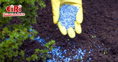 Exploring the Challenges and Opportunities of Entrepreneurship in Fertilizers
