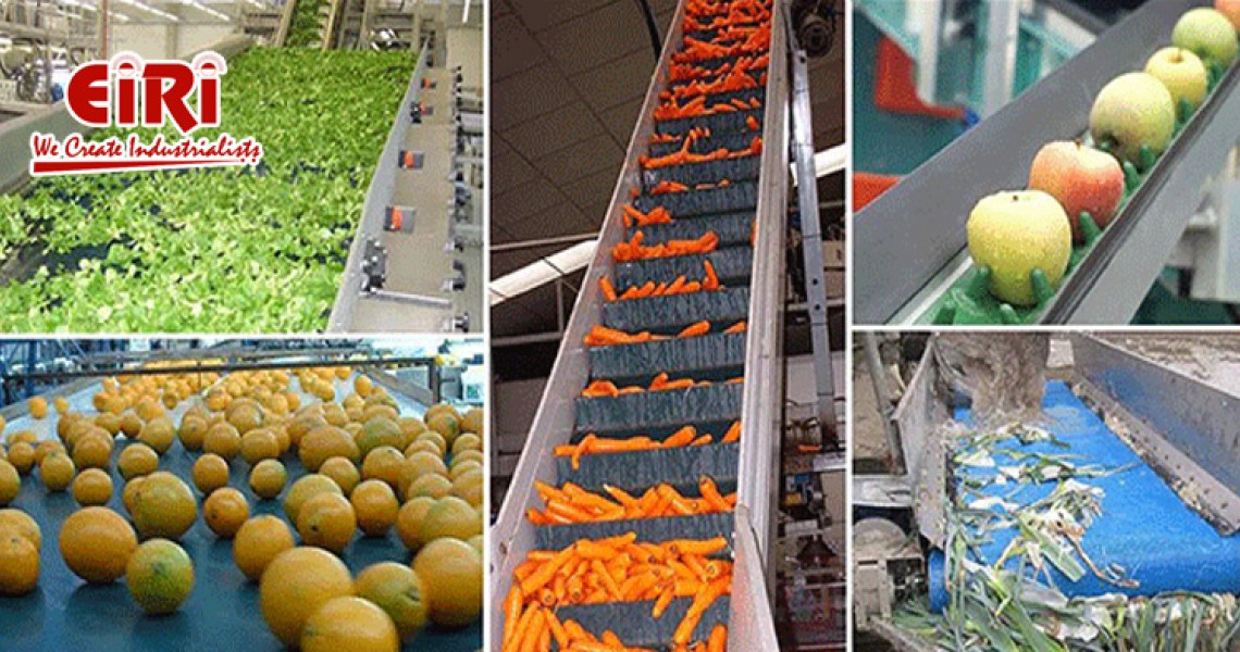 Fruit and Vegetable Processing Business Fruit and Vegetable Processing Business