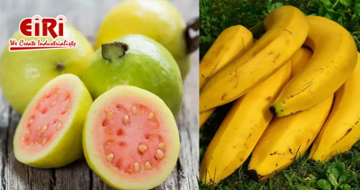 Fruit Based Business Ideas - Fruit Processing - Banana and  Guava Based Products