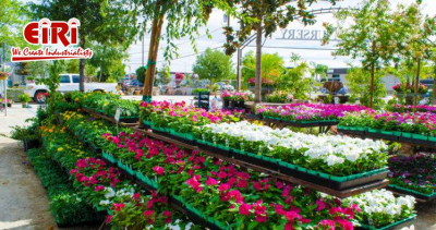 Garden Nursery Business - Future Growth and Forecast