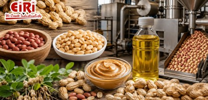 Groundnut (Peanut) Processing Industry: A Complete Entrepreneurial Guide