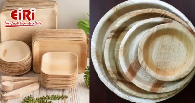 How to Manufacture Compostable Tableware: A Sustainable Business Idea