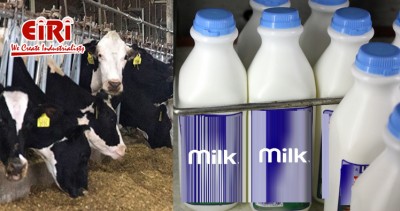 How to Start a Small-Scale Milk Processing & Packaging Unit