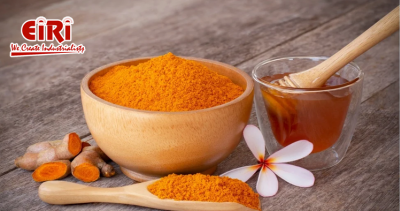 How to Start Curcumin Extraction Plant