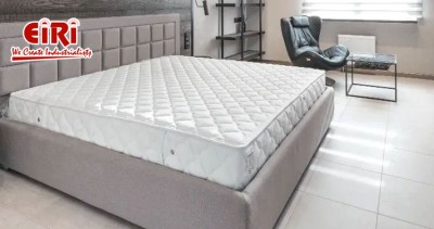 Production Plant of Latex Mattress, Market Demand, and Future Forecast