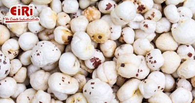 Makhana Production and Processing: A Complete Guide for New Entrepreneurs