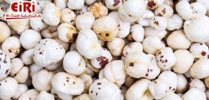 Makhana Production and Processing: A Complete Guide for New Entrepreneurs