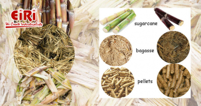 Market trends and growth prospects of biodegradable products from sugarcane bagasse