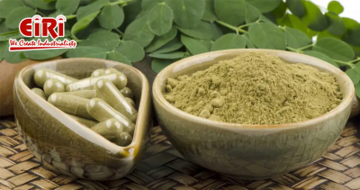 Moringa Products: Unveiling the Health Benefits and Lucrative Market Potential