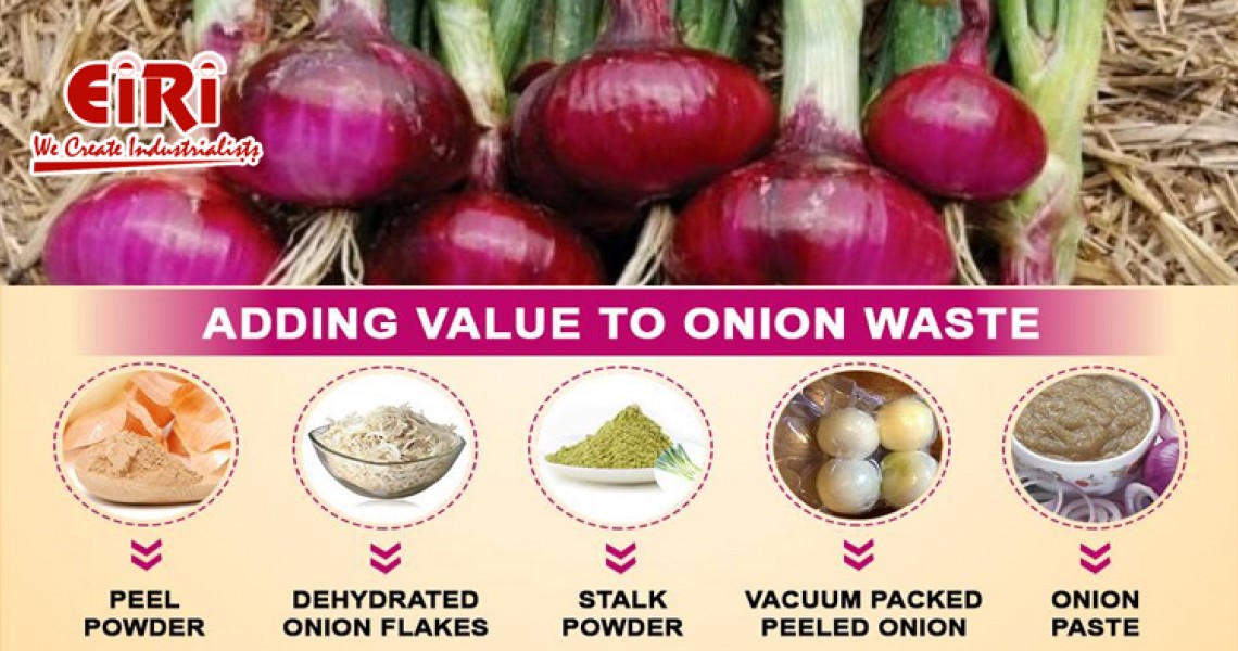 Onion Processing Business - Onion Based Business Ideas Onion Processing Business - Onion Based Business Ideas