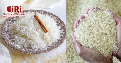Parboiled Rice Processing Plant: A Comprehensive Guide