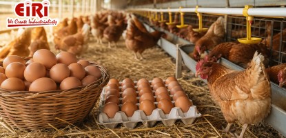 Poultry, Egg Farming and Egg Processing Business: A Complete Guide for Entrepreneurs