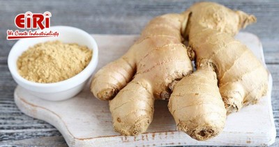 Unlocking the Aromatic Potential: Establishing a Production Plant for Ginger Oil and Ginger Powder