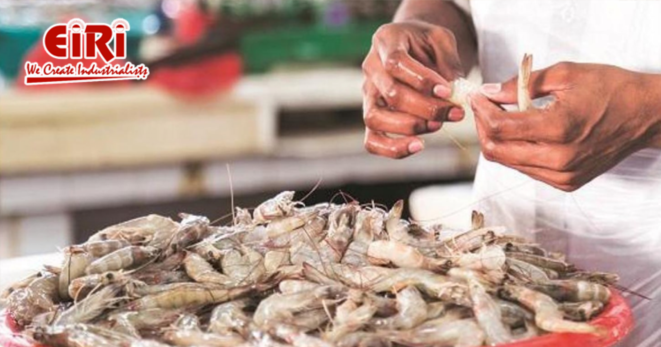 Shrimp processing business idea