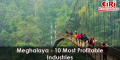 10 Manufacturing Business Ideas for Meghalaya
