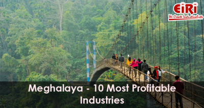 10 Manufacturing Business Ideas for Meghalaya