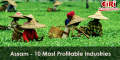 10 Most Profitable Industries For Assam, India