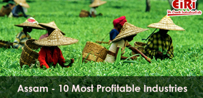 10 Most Profitable Industries For Assam, India