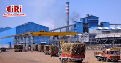 Sugar Plant Techno-Economic Viability and Feasibility