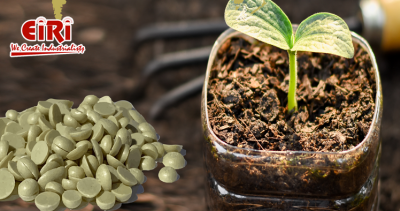 The Evolution and Impact of Sulphur Bentonite Fertilizers in Modern Agriculture