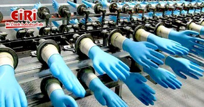 The Complete Guide to Manufacturing Medical Gloves
