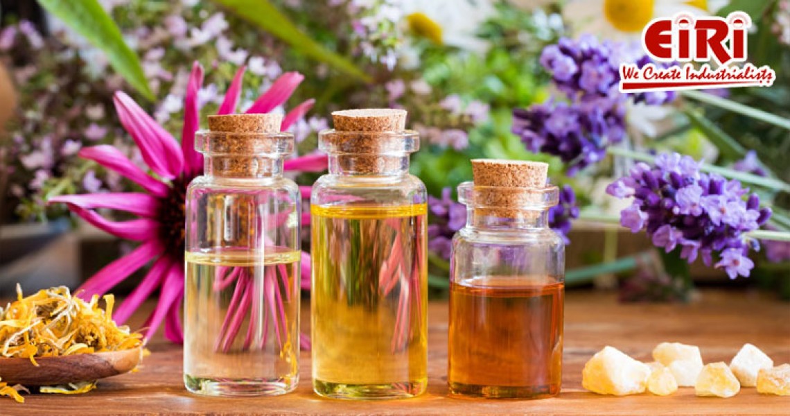 Essential Oils Industry: Everything You Need to Know