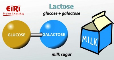 The Lactose Market: Future Growth and Growth Prospects
