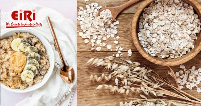 White Oats Processing and Oat - Based Products - Unlocking Profitable Opportunities