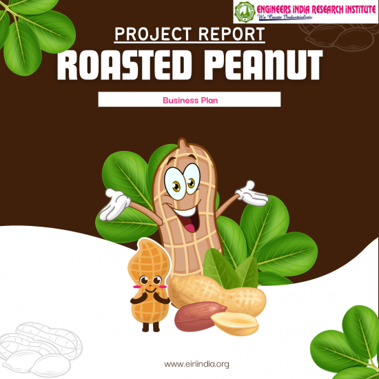 Detailed Project Report on roasted peanuts
