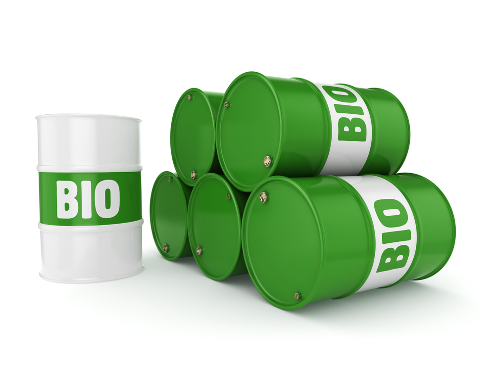 Handbook of Biofuels Production and Processing Technology