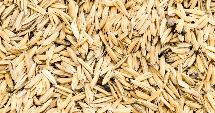 Rice Husk and Rice Ash - Agricultural Waste ByProducts