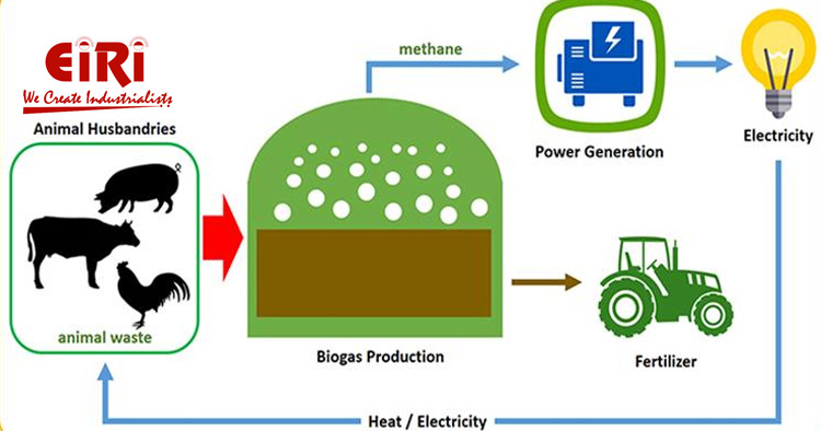 Biogas Production from Dairy Waste: A Sustainable Business Opportunity