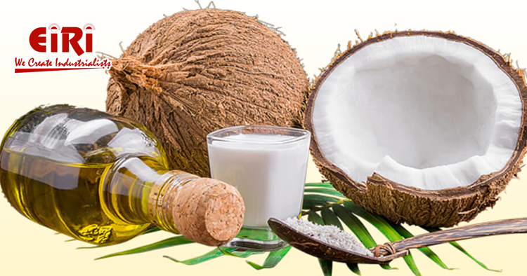 Coconut Based Business Idea - How to Start Business - Project Report for Bank Loan