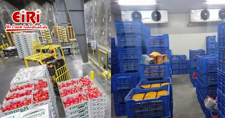 Cold Storage Business: Market Overview and Future Growth Forecast